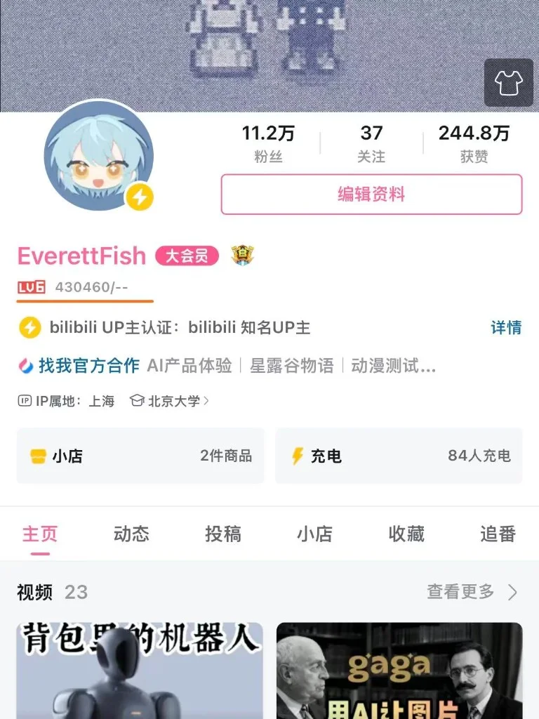B 站个人空间：EverettFish 认证与数据节选